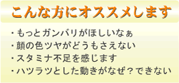 ランリックパワーはこんな方にオススメします